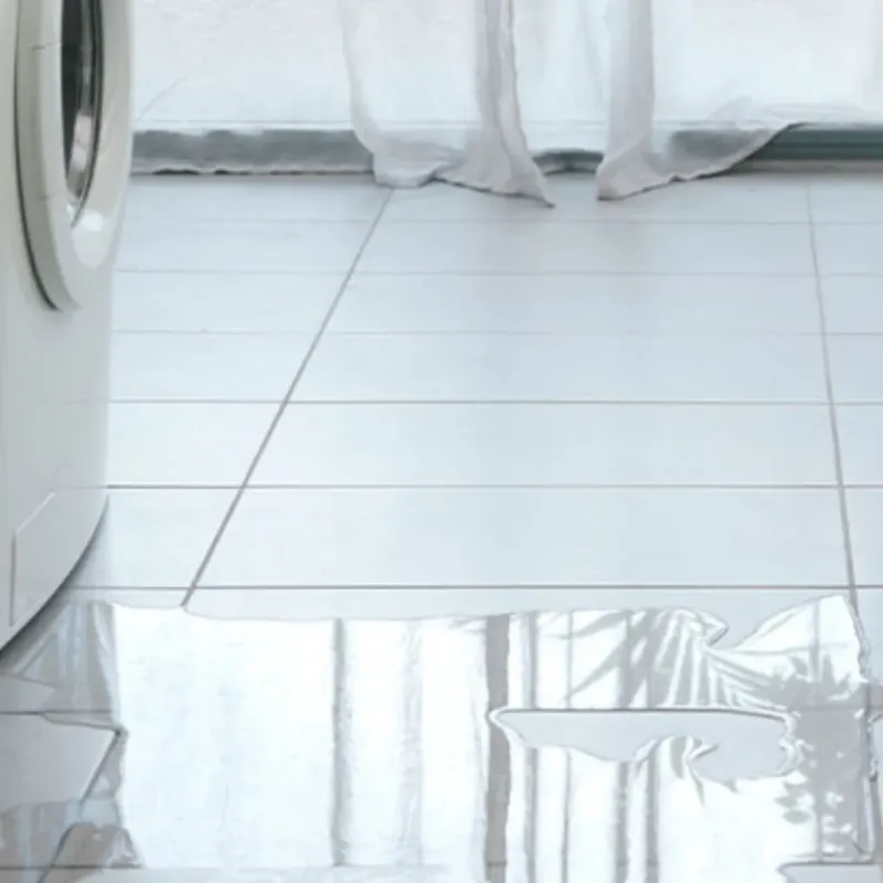 Appliance Leak Cleanup in Newcastle, CA