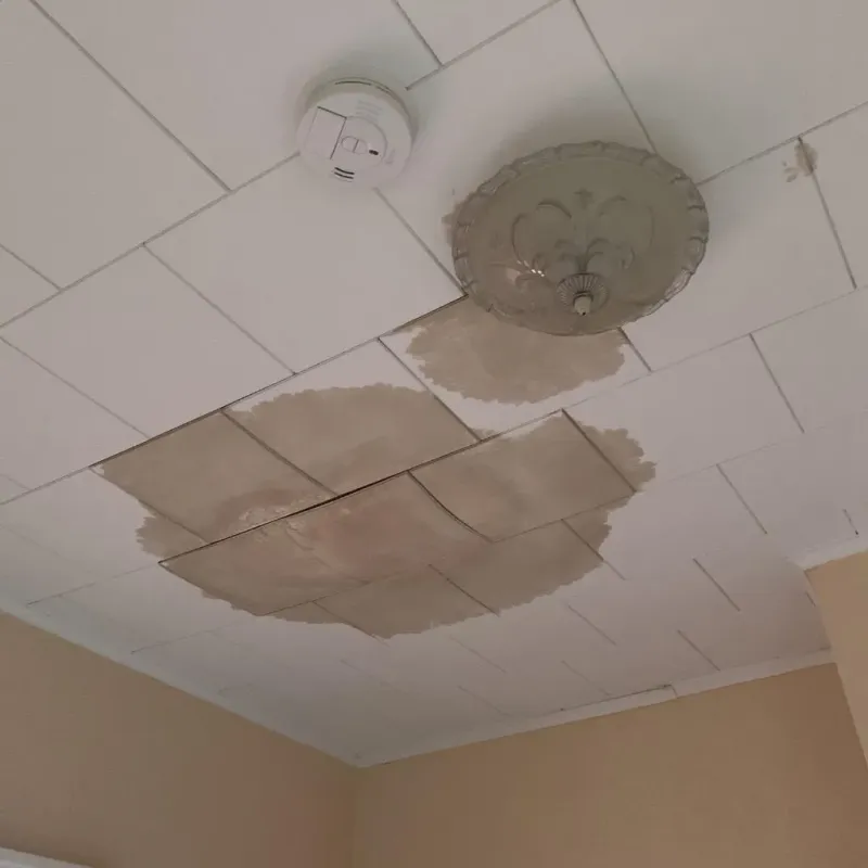Ceiling Water Damage Repair in Newcastle, CA