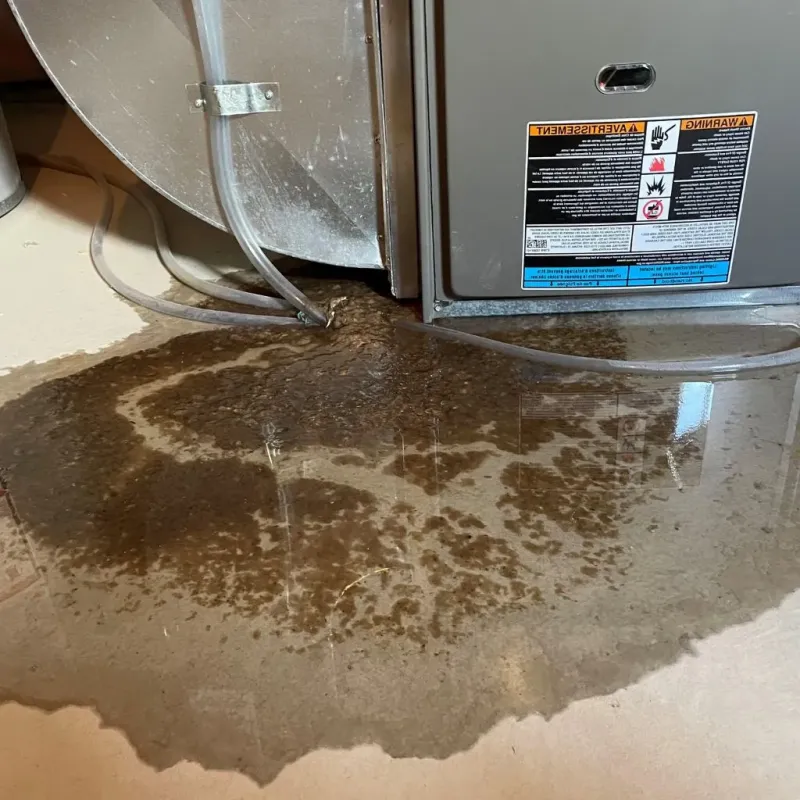 Pipe Burst and Leak Restoration in Newcastle, CA