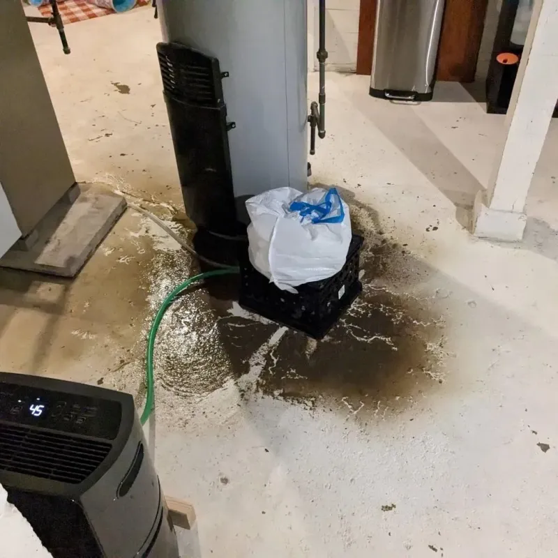 Sewage Backup Cleanup Service in Newcastle, CA